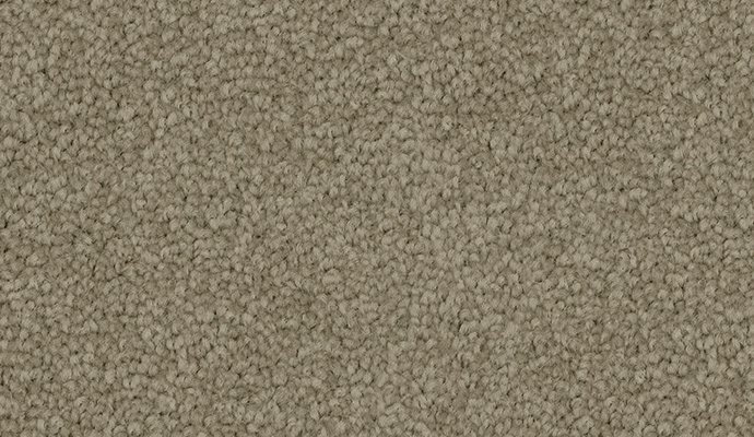 carpet-penny_lane-suede-floor-godfrey_hirst carpet-penny_lane-suede-floor-godfrey_hirst