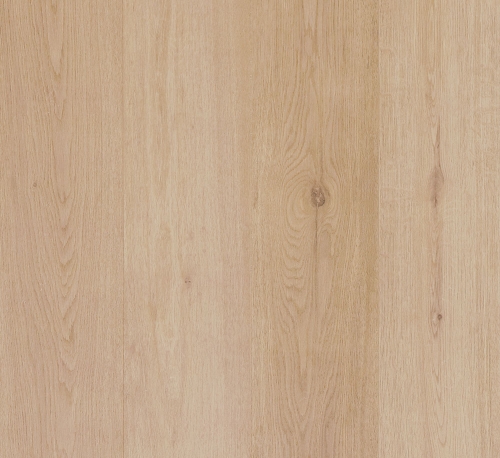 sierra-oakhd-500x458